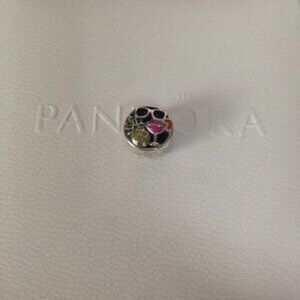 Pandora summer fun charm
